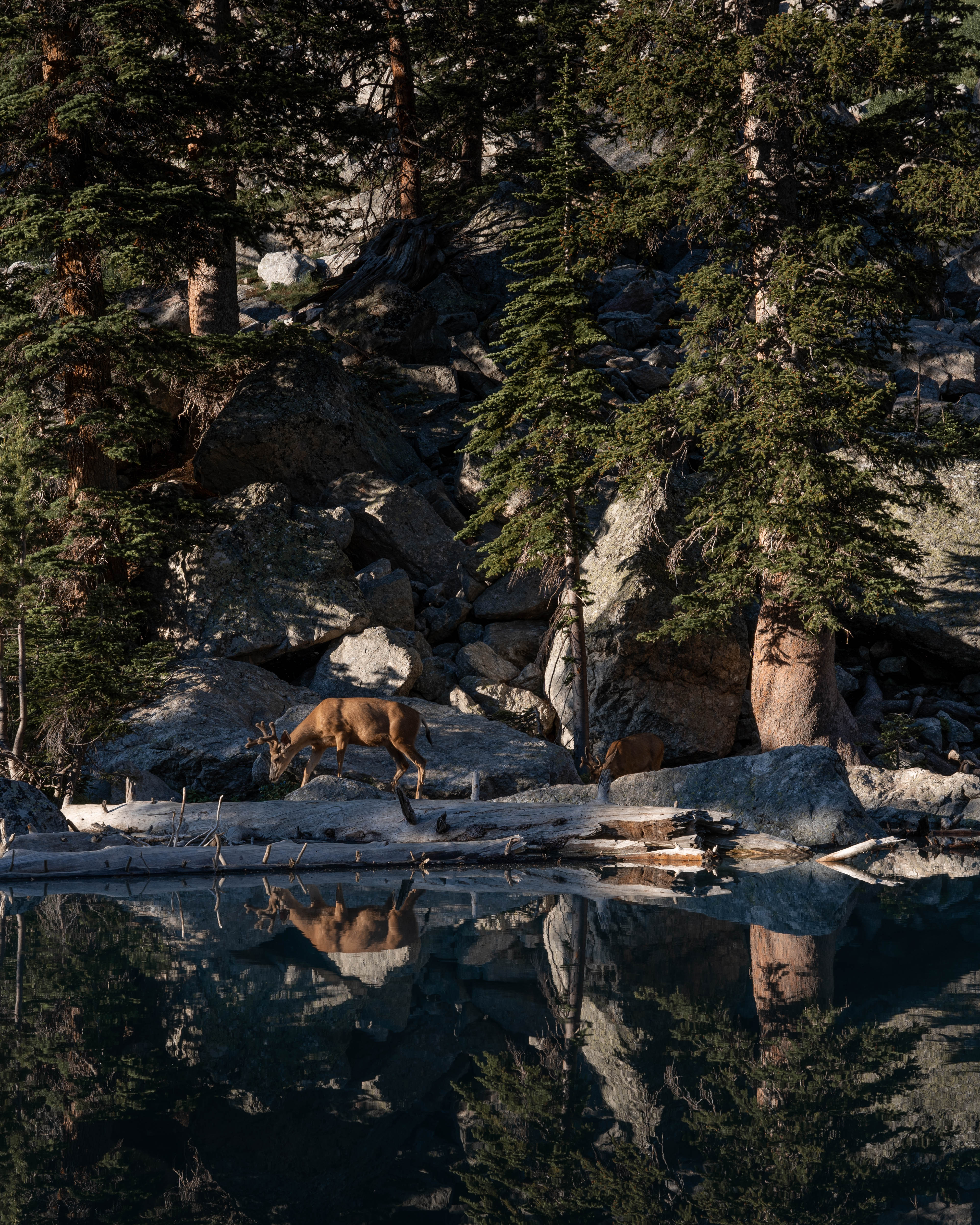 Landscape Collection